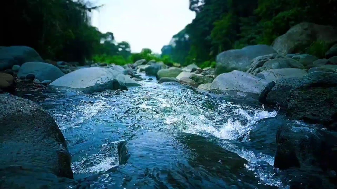 🍃 Morning Forest River ASMR Sounds for Deep Sleep, Relaxation & Calm Focus