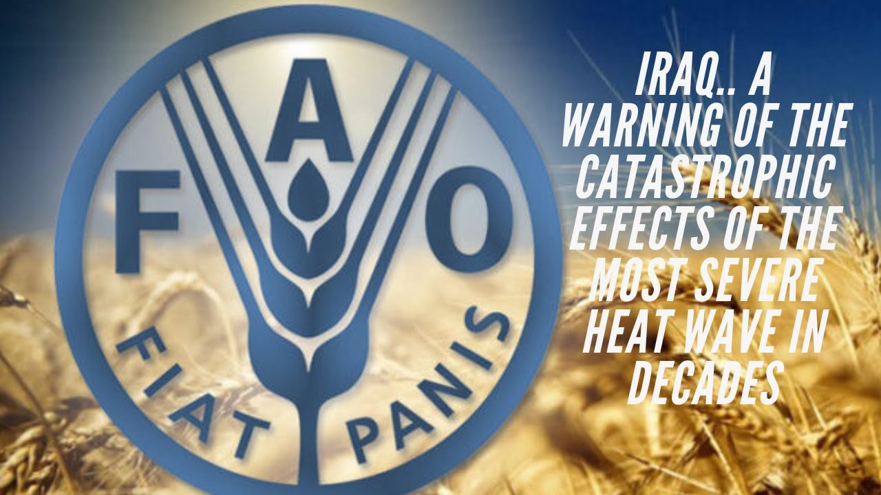 Iraq.. A warning of the catastrophic effects of the most severe heat wave in decades