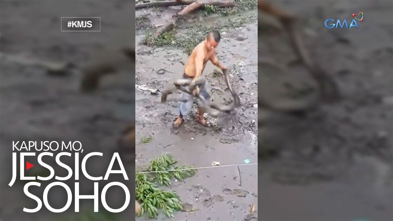 Kapuso Mo, Jessica Soho: Lalaki, hinuli ang dalawang malalaking sawa gamit ang kanyang mga kamay!