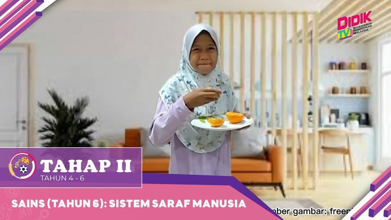 Tahap II (2022) | Sains (Tahun 6): Sistem Saraf Manusia [R]