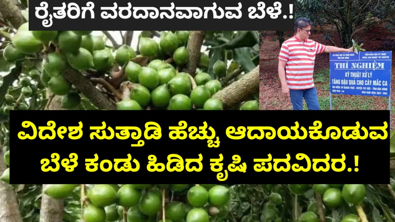 ಥೈಲ್ಯಾಂಡ್, ಕೀನ್ಯಾ, ವಿಯೆಟ್ನಾಂ ದೇಶ ಸುತ್ತಾಡಿ ರೈತರಿಗೆ ಹೆಚ್ಚು ಆದಾಯ ಕೊಡುವ ಬೆಳೆ ಕಂಡು ಹಿಡಿದ ಕೃಷಿ ಪದವಿದರ.!