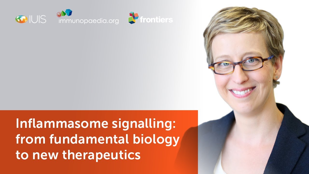 Kate Schroder - Inflammasome signalling: from fundamental biology to new therapeutics