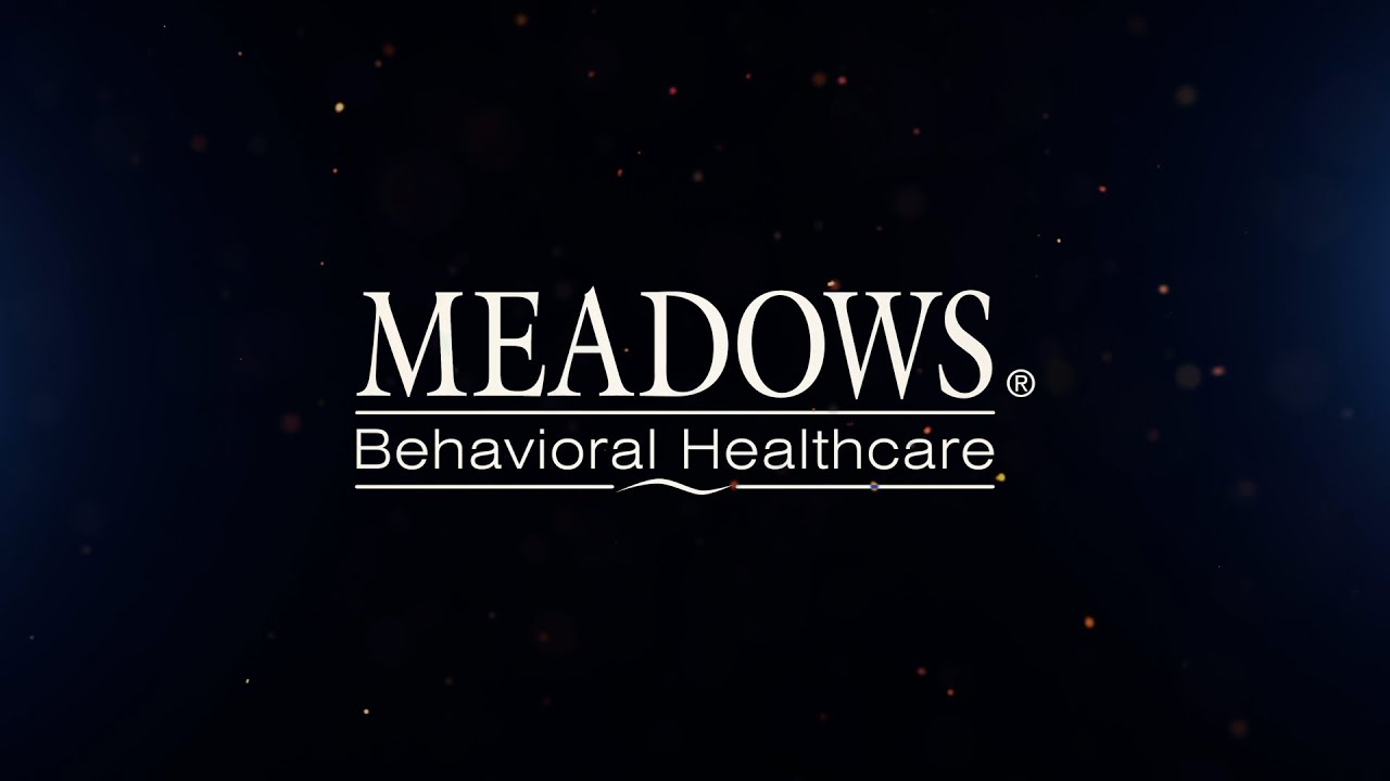 Experience Meadows Behavioral Healthcare