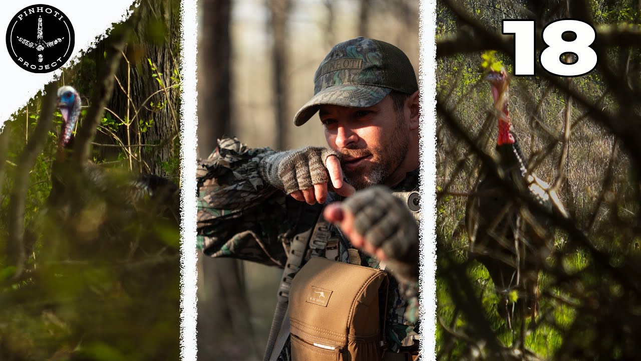 INCREDIBLE TENNESSEE HUNTING  | 3 HUNTS | 3 GOBBLERS | YELPED to the GUN- Pinhoti 2024