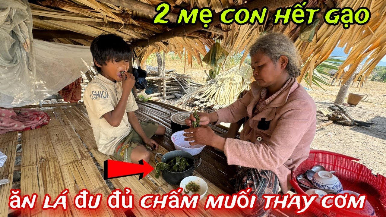 2 mẹ con hết GẠO nấu cơm phải ăn lá ĐU ĐỦ luộc chấm muối thay cơm /158