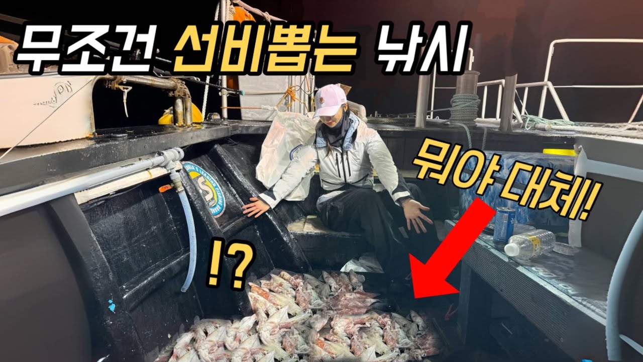 한치낚시 어제 우리가 수백마리 잡을 수 있던 이유! 알고가세요 ㄷㄷ