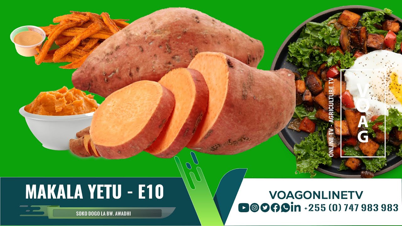 MAKALA YETU - E10 | KILIMO CHA VIAZI VITAMU
