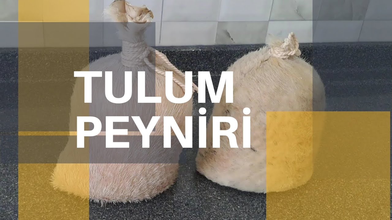 Tulum peyniri yapımı, detaylı anlatim