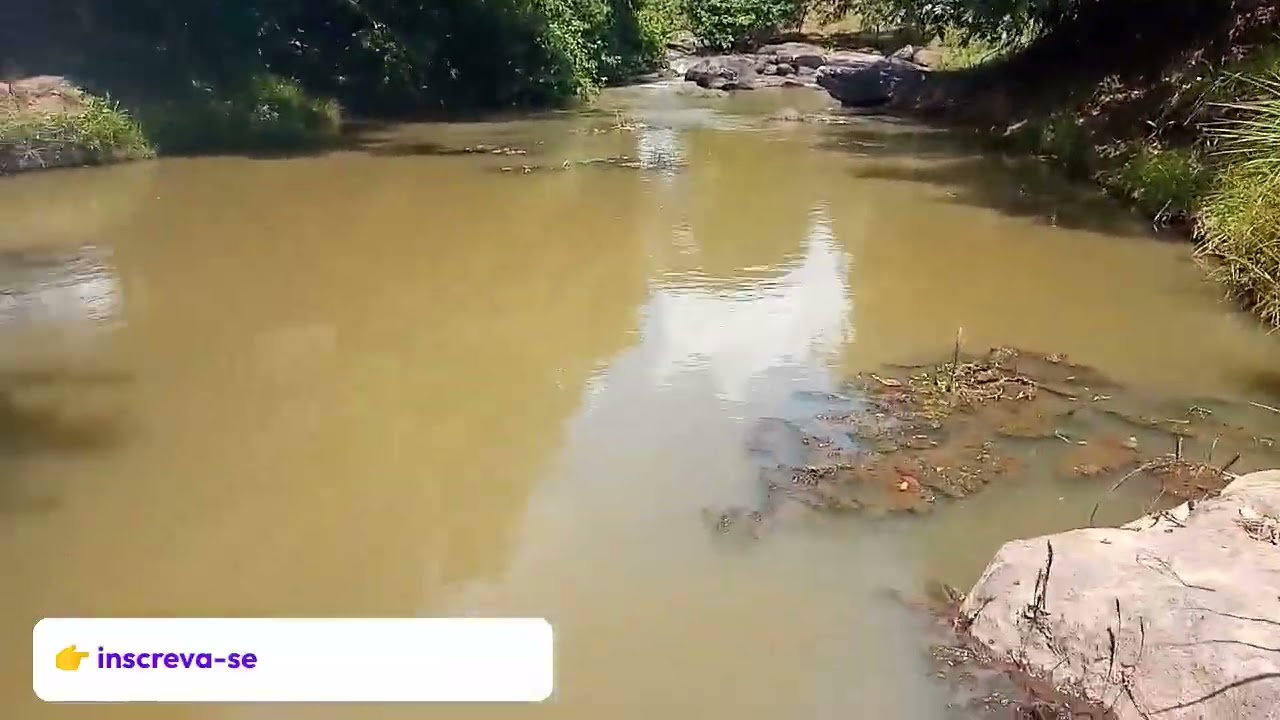 Pesca em família vejam