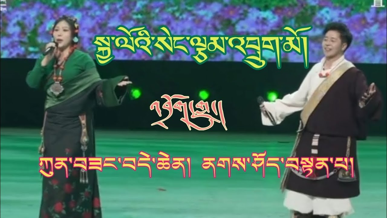 New Tibetan Song 2024 |  སེང་ལྕམ་འབྲུག་མོ། | Ngashod Tenpa | Kunsang Dechen | གླུ་གསར་ཚ་པོ།