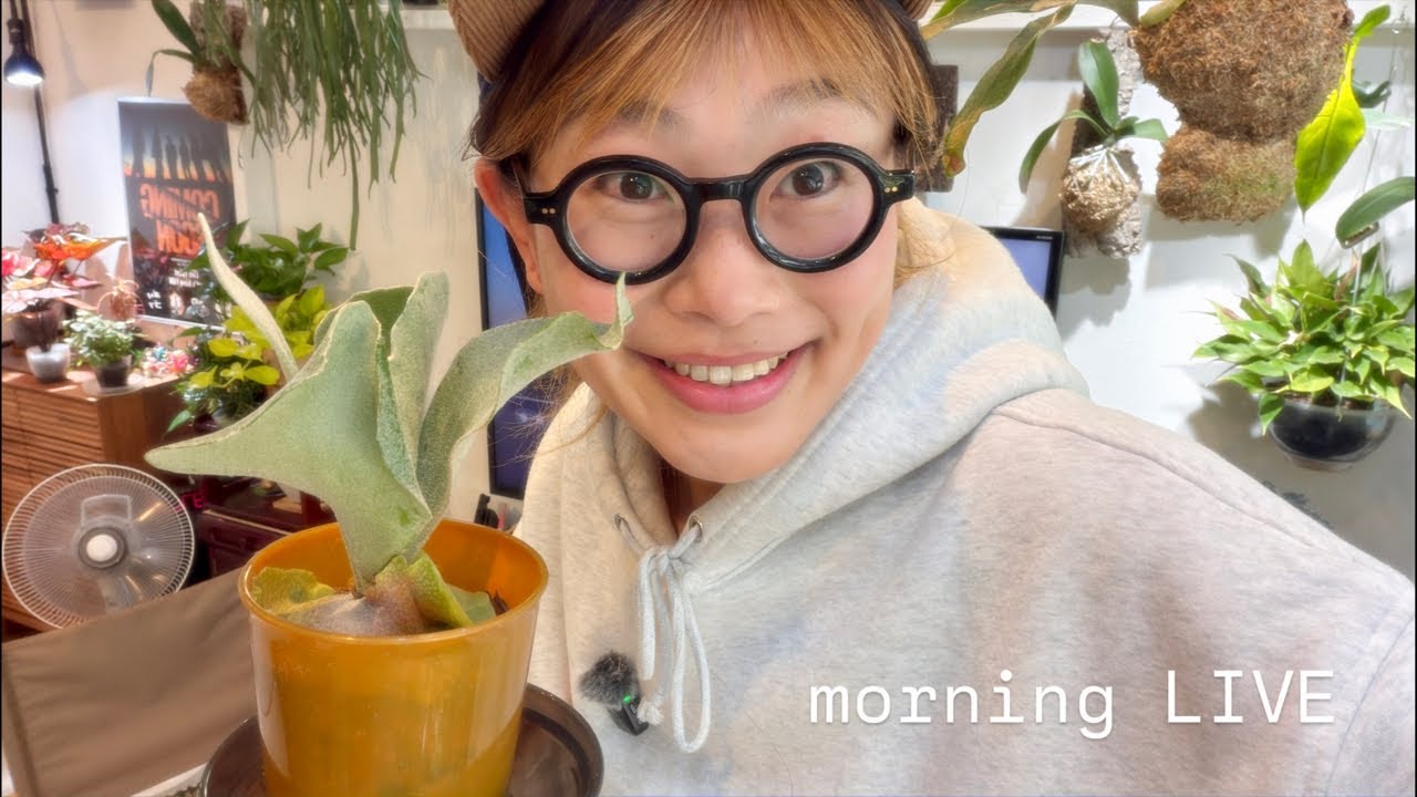 花森さん２月16日morning LIVE🫎✨