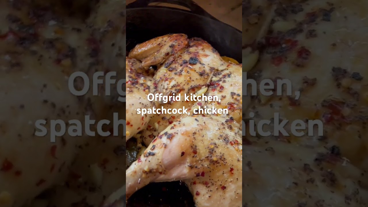 Woodfired spatchcock chicken in the offgrid kitchen!