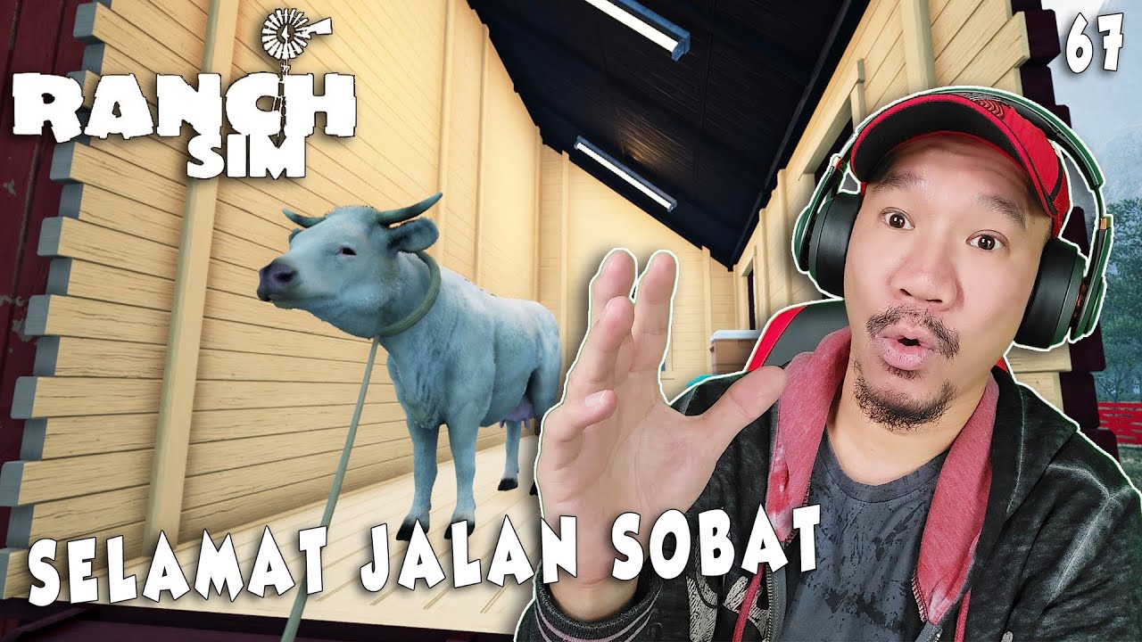 SAPI KAMU BAIK BAIK YA DI SANA - Ranch Simulator #67