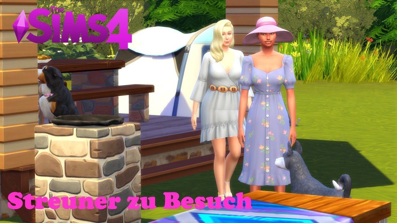 Wohin das Herz will || Henford || Streuner zu Besuch  || Folge 20
