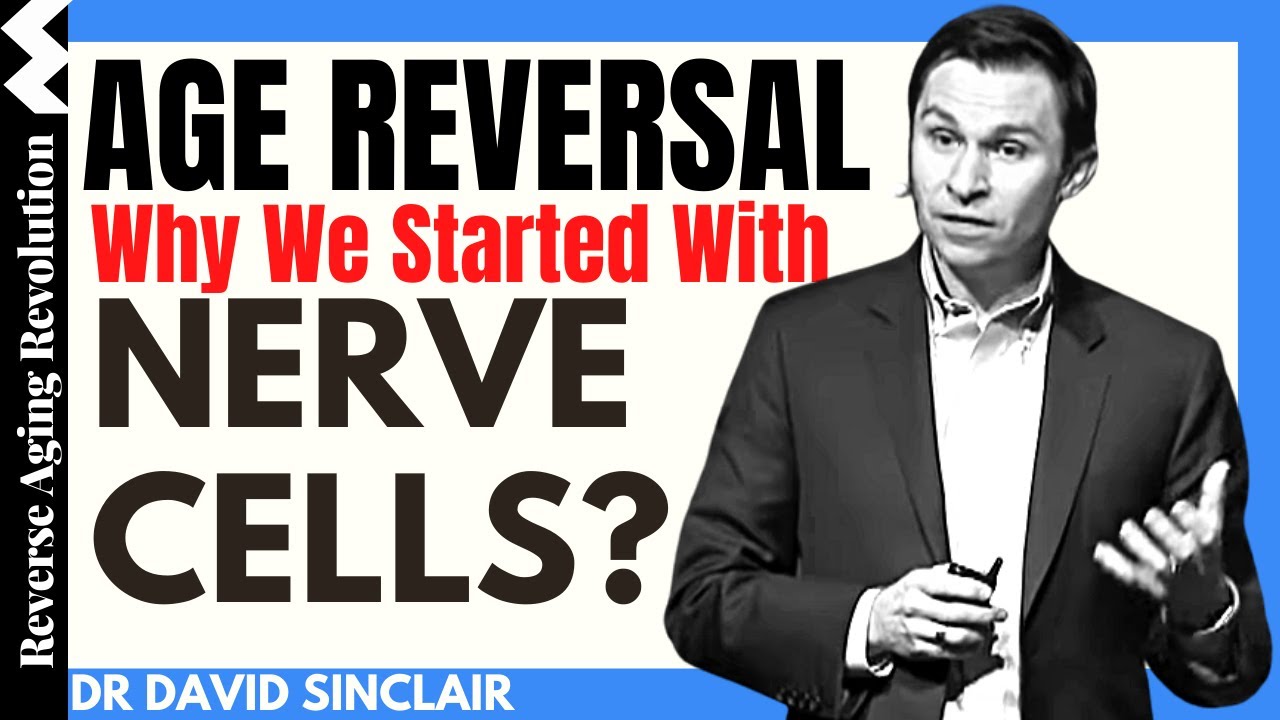 AGE REVERSAL - Why We Started With Nerve Cells? | Dr David Sinclair Interview Clips