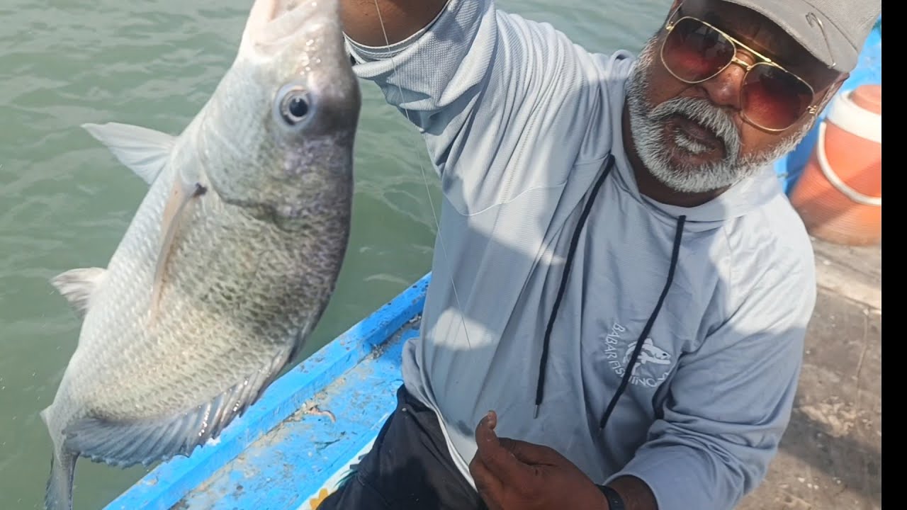 Karachi Mangrov Fishing 🎣 Reyri Goth To Rakkhal #fishing #fish #mangrove #