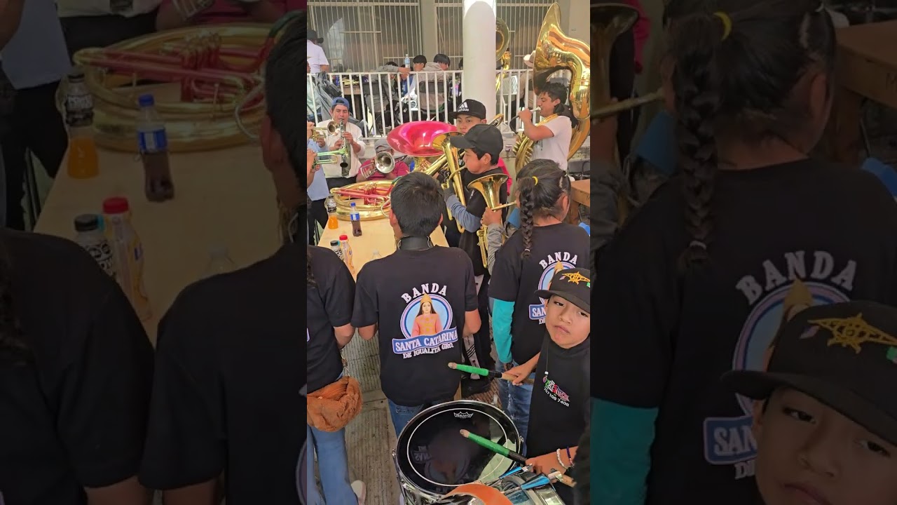 Miren como tocan estos niños de IGUALITA GRO, en el platanar guerrero 2026 #tradiciones 