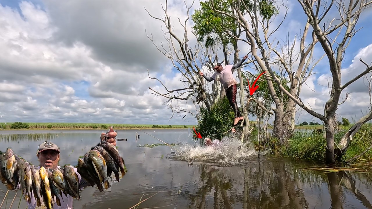 PESCARIA INTENSA NA LAGOA SECRETA DE TANTO PEIXE O SISTEMA FOI BRUTO!