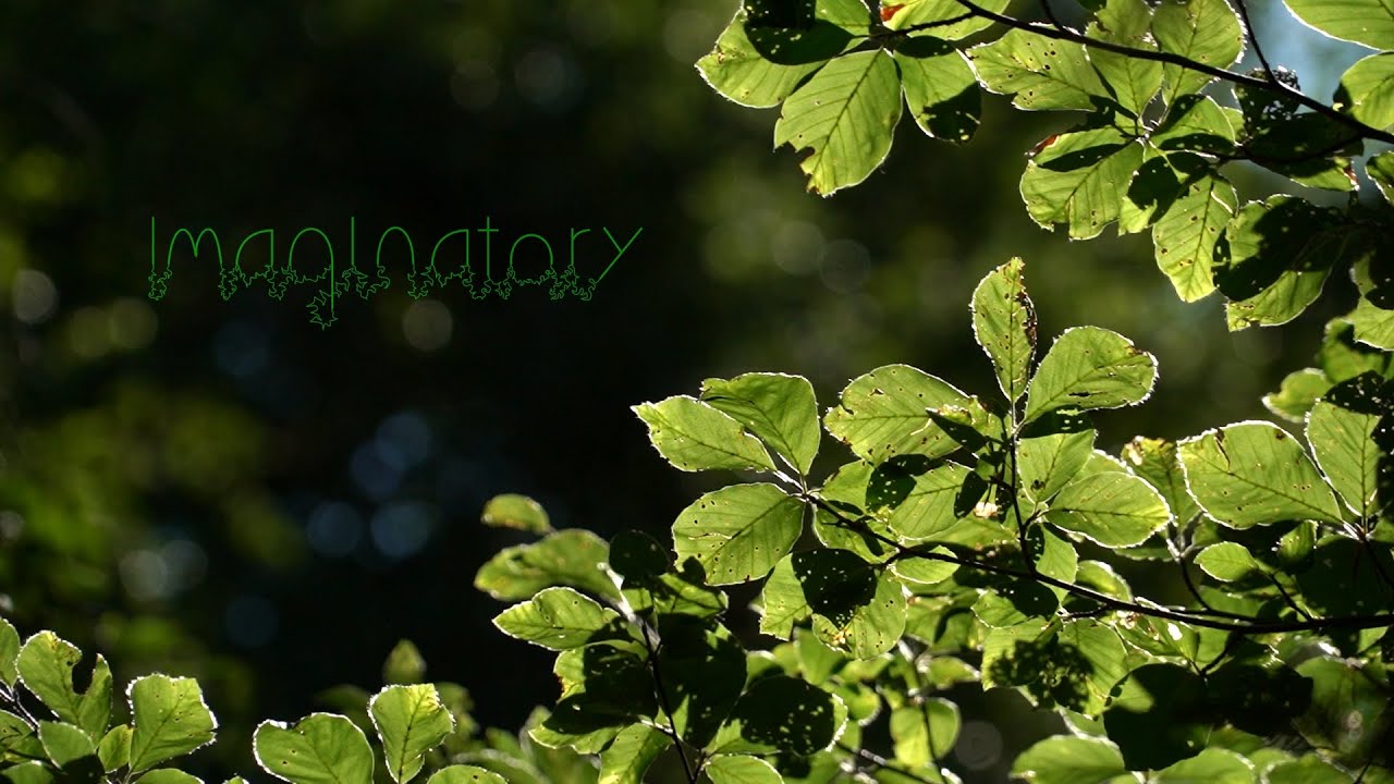 Rays of Sunlight. 5 Minute Nature Meditation: Imaginatory