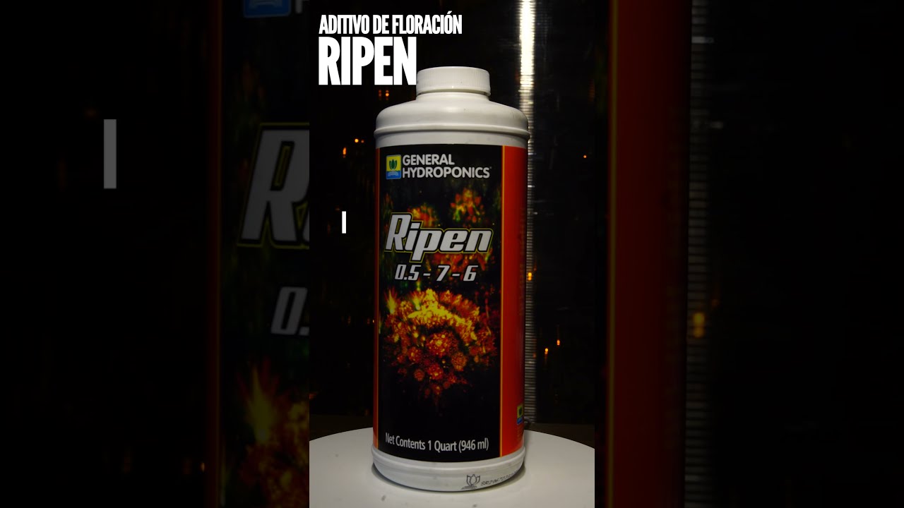 RIPEN Engordador de cogollos, para ganar peso, volumen, aroma y sabor de General Hydroponics
