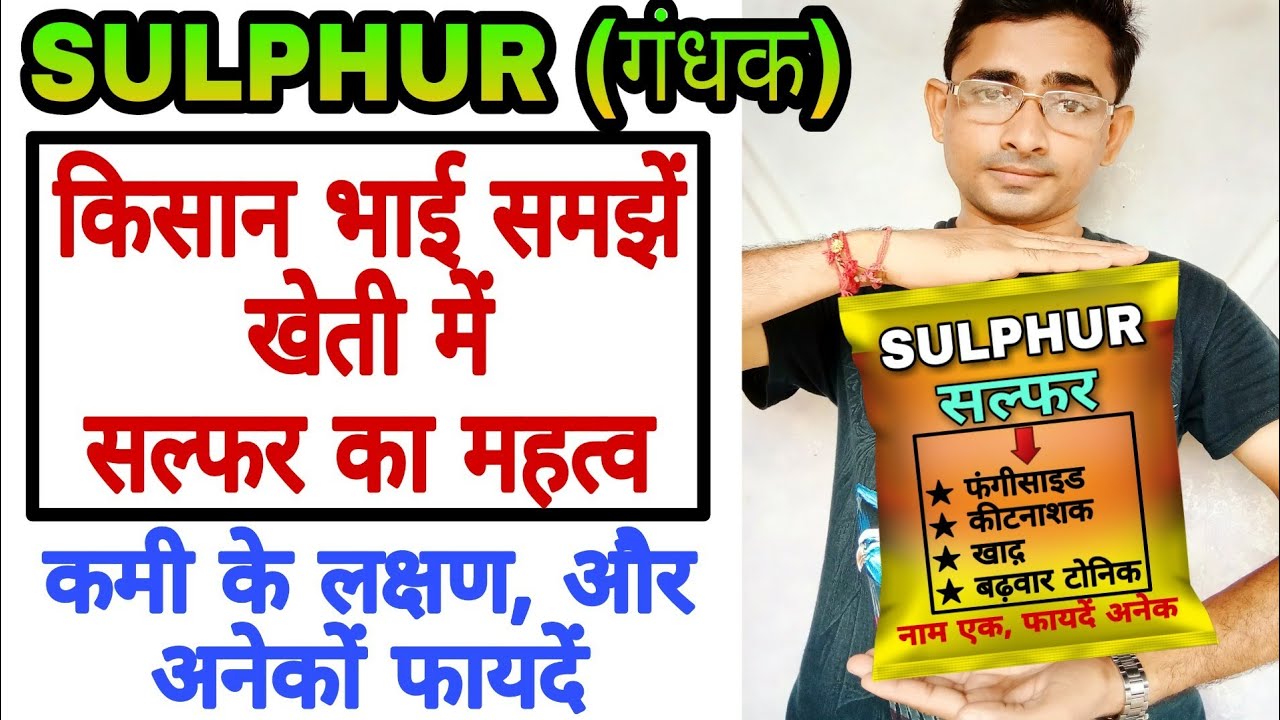 खेती में सल्फर का महत्व -फायदें | Importance Of SULPHUR in Crops | Benefits of Sulphur