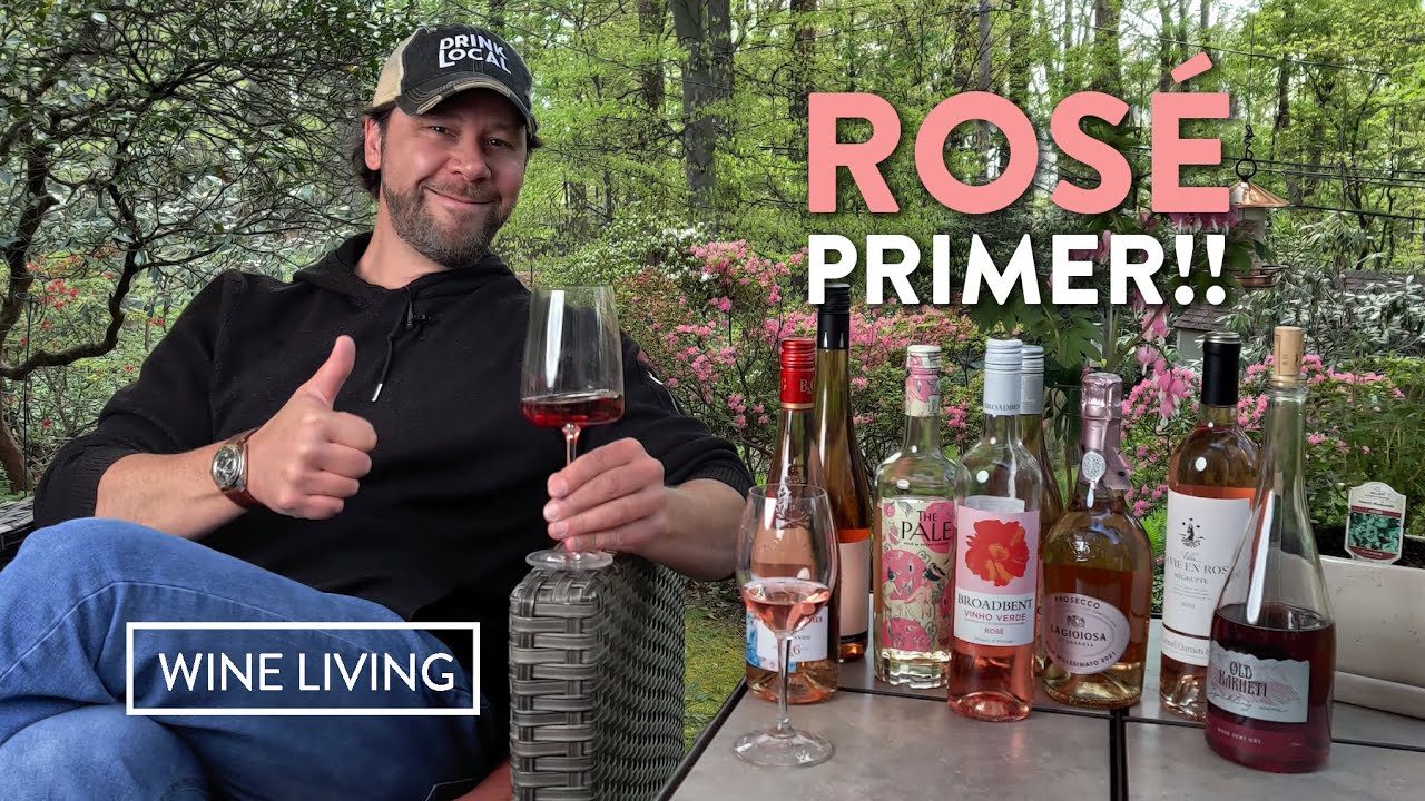 Wine expert breaks down rosé wine!