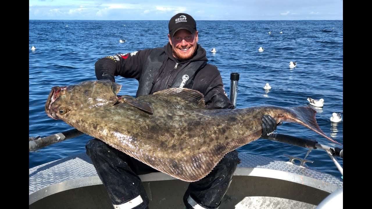 Angeln in Norwegen: Seter Brygge – Die Großfischperle in Mittelnorwegen