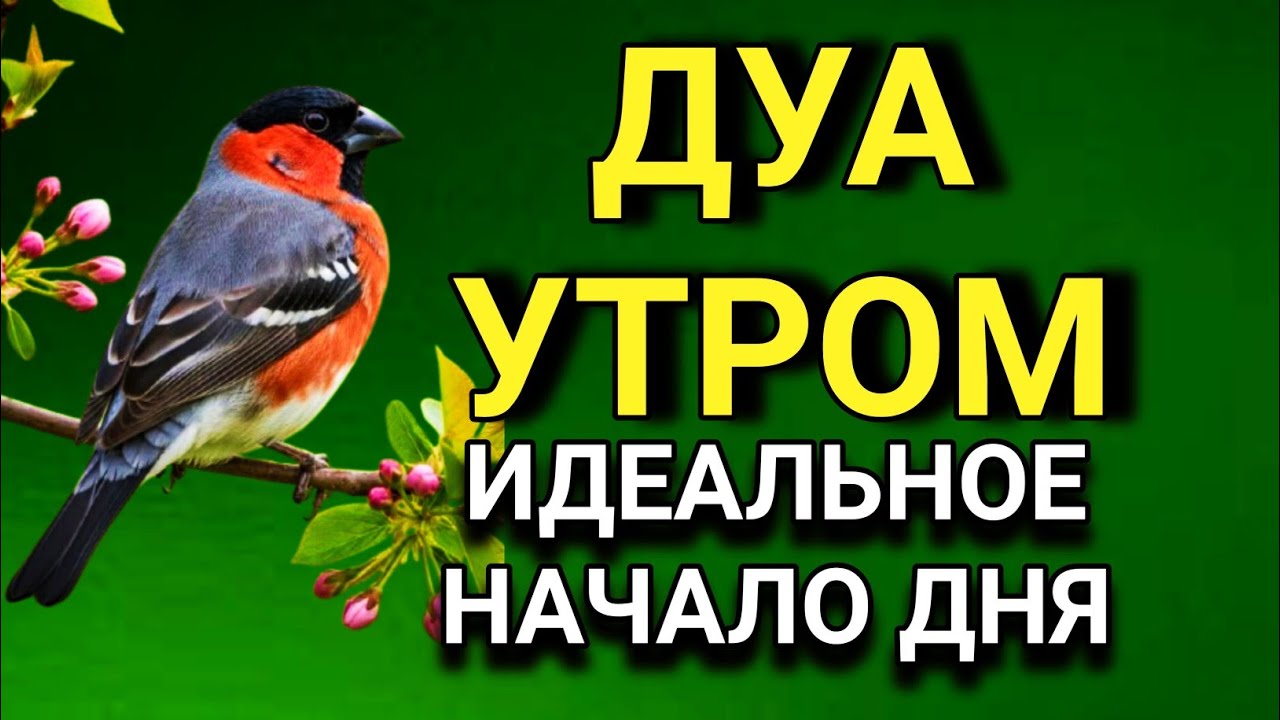🔑 УТРО С АЛЛАХОМ 🤲✨ ЛУЧШЕЕ ДУА ДЛЯ ИДЕАЛЬНОГО НАЧАЛА ДНЯ! 💖💯