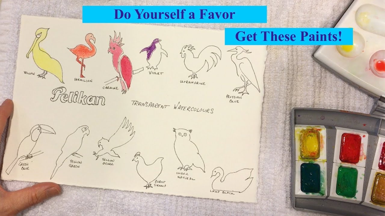 Pelikan Transparent Watercolor Review