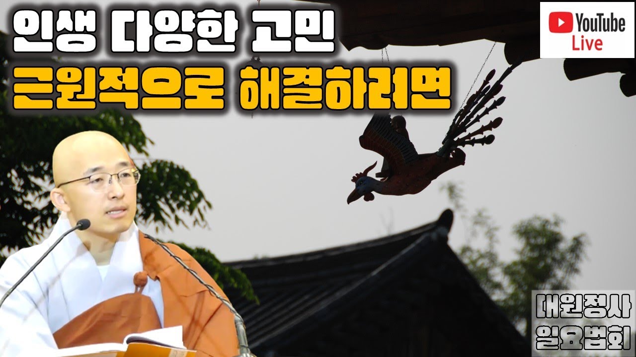[돈오45] 인생의 다양한 고민, 근원적으로 해결하려면