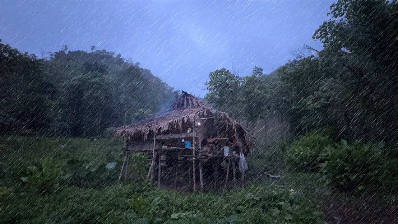 บ้านคุณลุงคุณป้ากลางป่าลึกต่างแดนในฤดูเพาะปลูกกับบรรยากาศฝนตกทั้งวันทั้งคืน