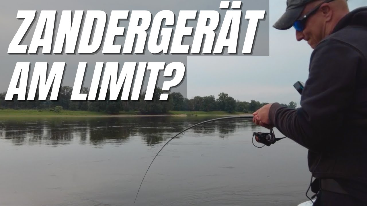 Eskalation am Fluss! Hält unser Zandergerät?