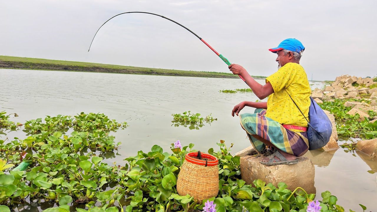 Watch incredible fishing in Dhalarchar Jamuna 🎣🎣 Fishing in Jamuna River | Fishing video | Fishin...