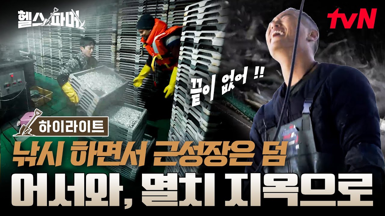 멸치 수확이야 데드리프트야?🐟 끝없이 올라오는 멸치 그물 무게에 당황한 파머들ㄷㄷ💦 #highlight #헬스파머 EP.4