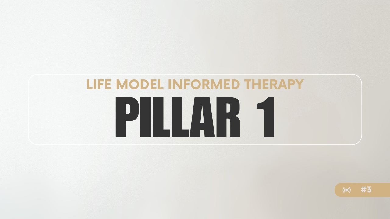 Pillar 1 - Life Model Informed Therapy