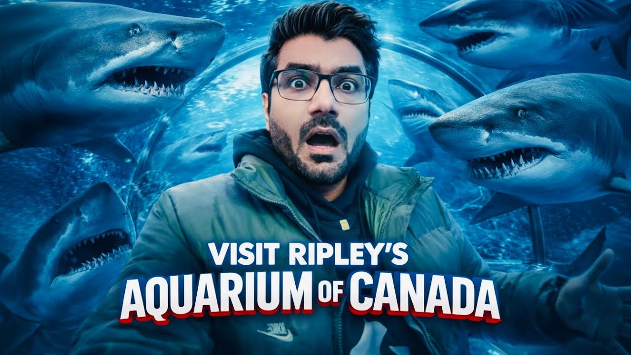 Walking Inside a Shark Tunnel 🦈😱 | Ripley’s Aquarium Canada #vlog #shark #viral #canada #aquarium