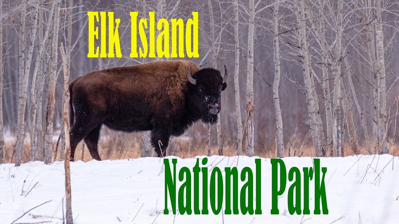 Elk Island
