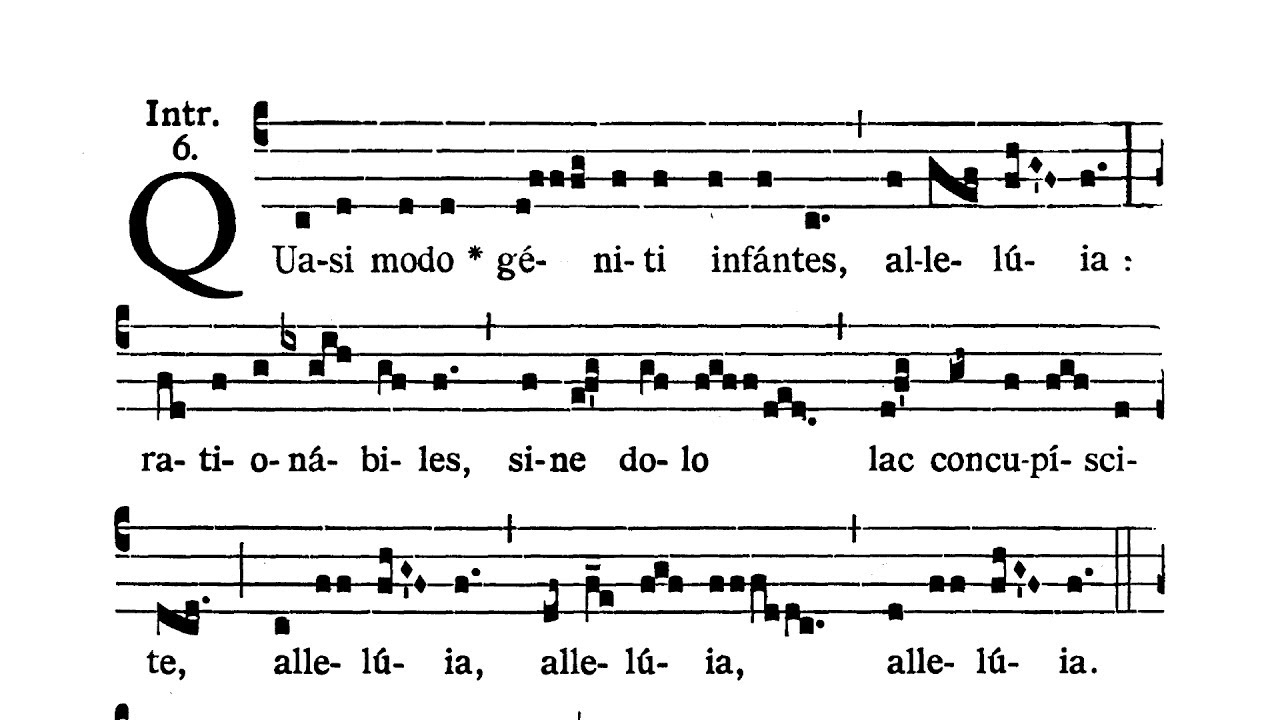 Dominica in Albis (Biała Niedziela) - Introitus (Quasi modo)