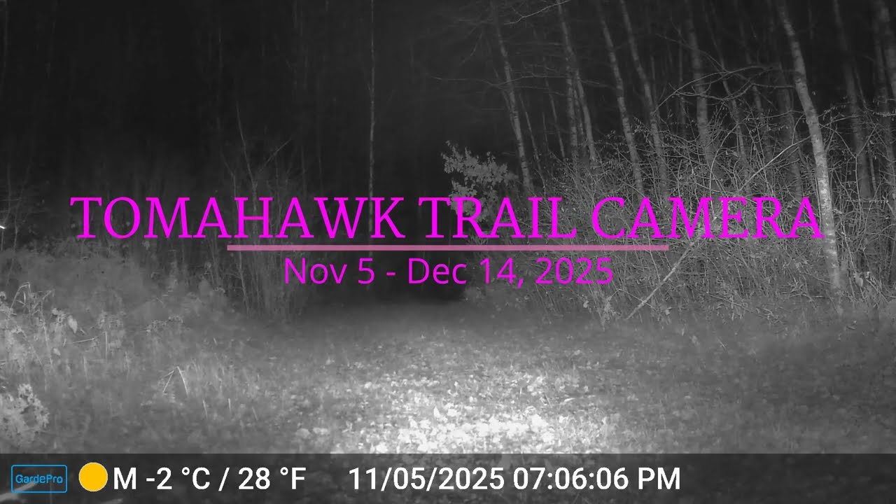 Tomahawk Trail Camera Nov 5 - Dec 14, 2025