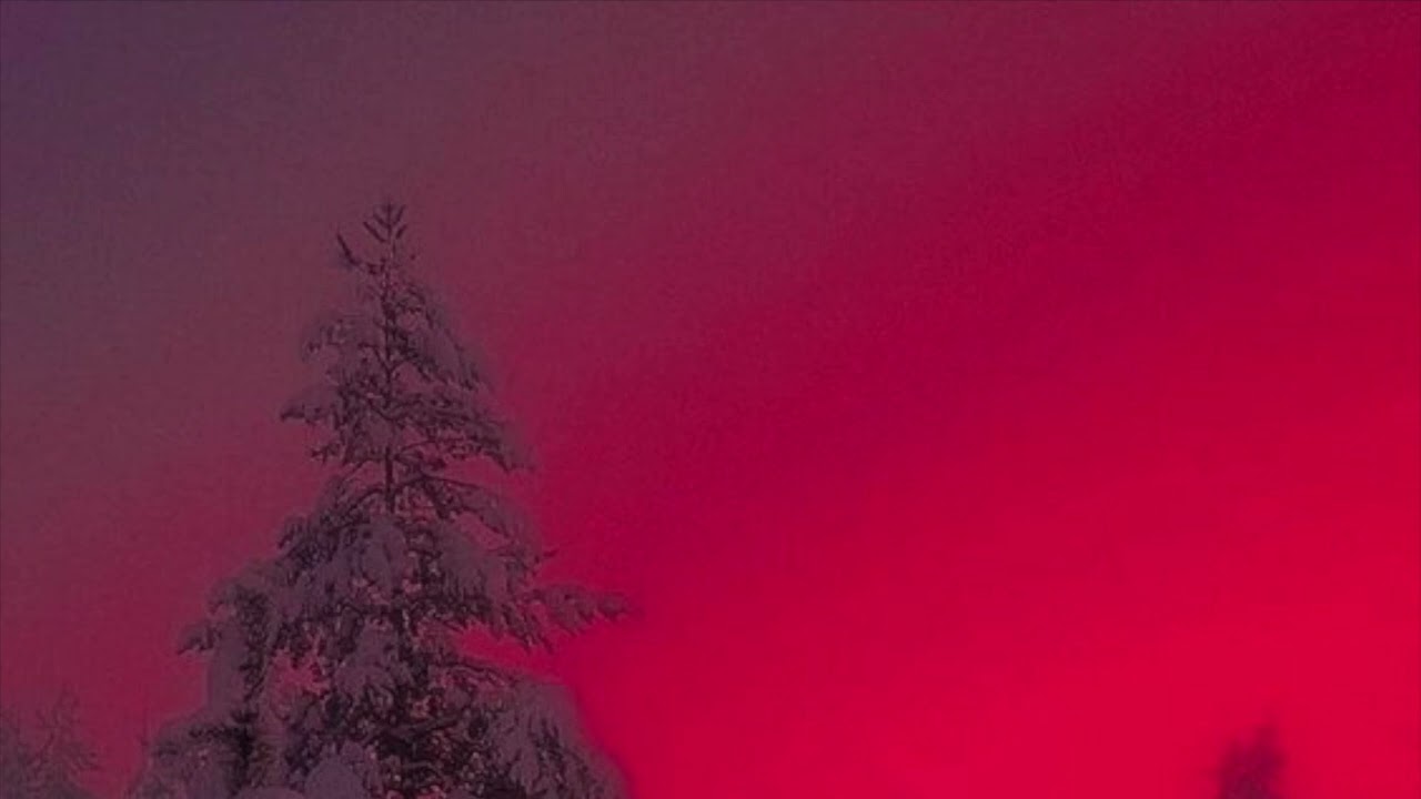 [free] bladee + wod type beat