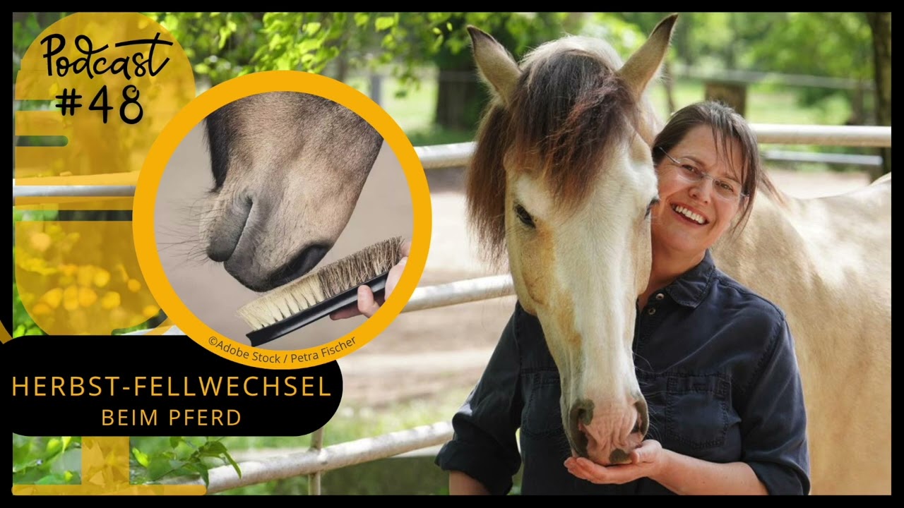 Sanoanimal Podcast #48 - Herbstfellwechsel beim Pferd