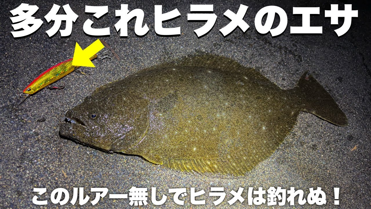 サーフからヒラメを狙って○○しながらルアー投げてたら…