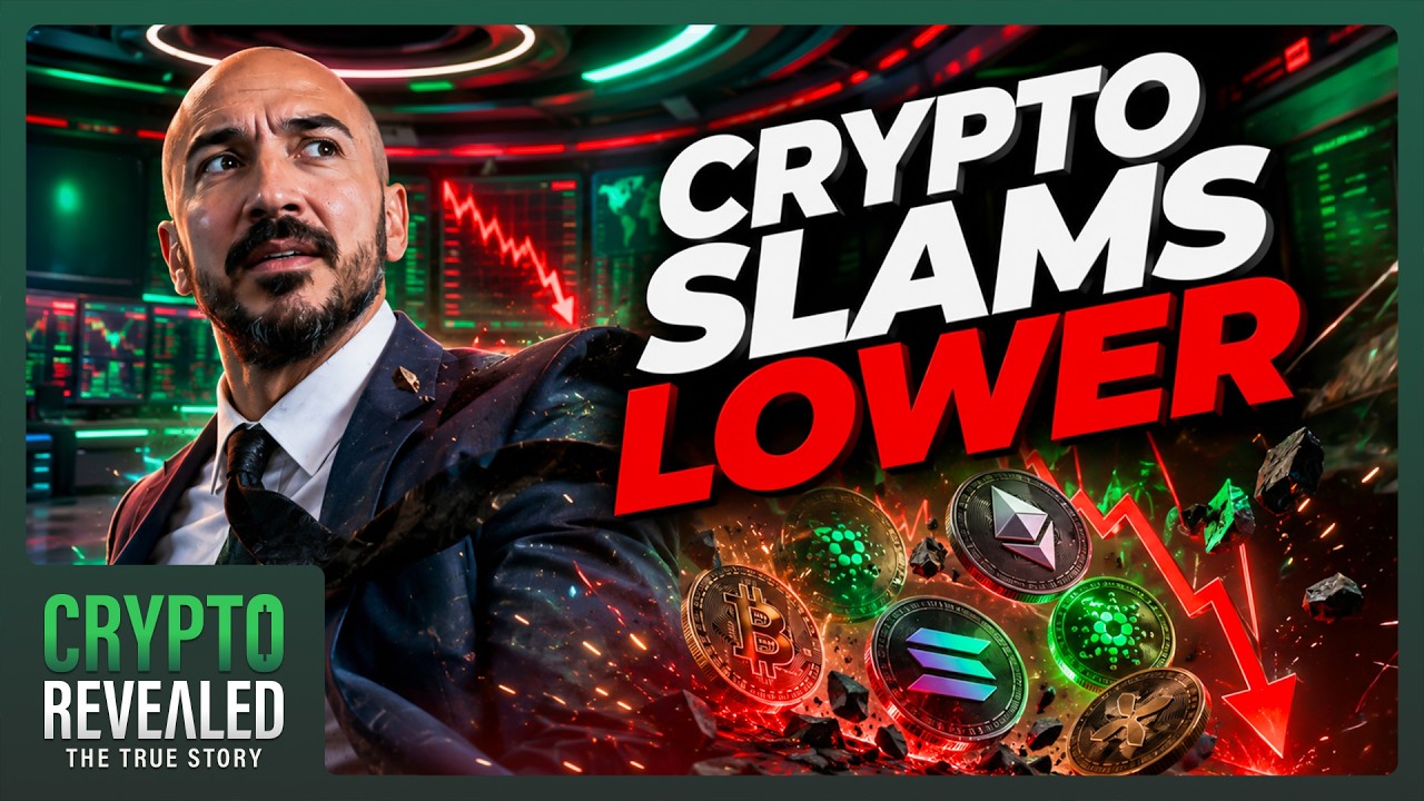 Bitcoin And Altcoins Dump (Is It Over?)