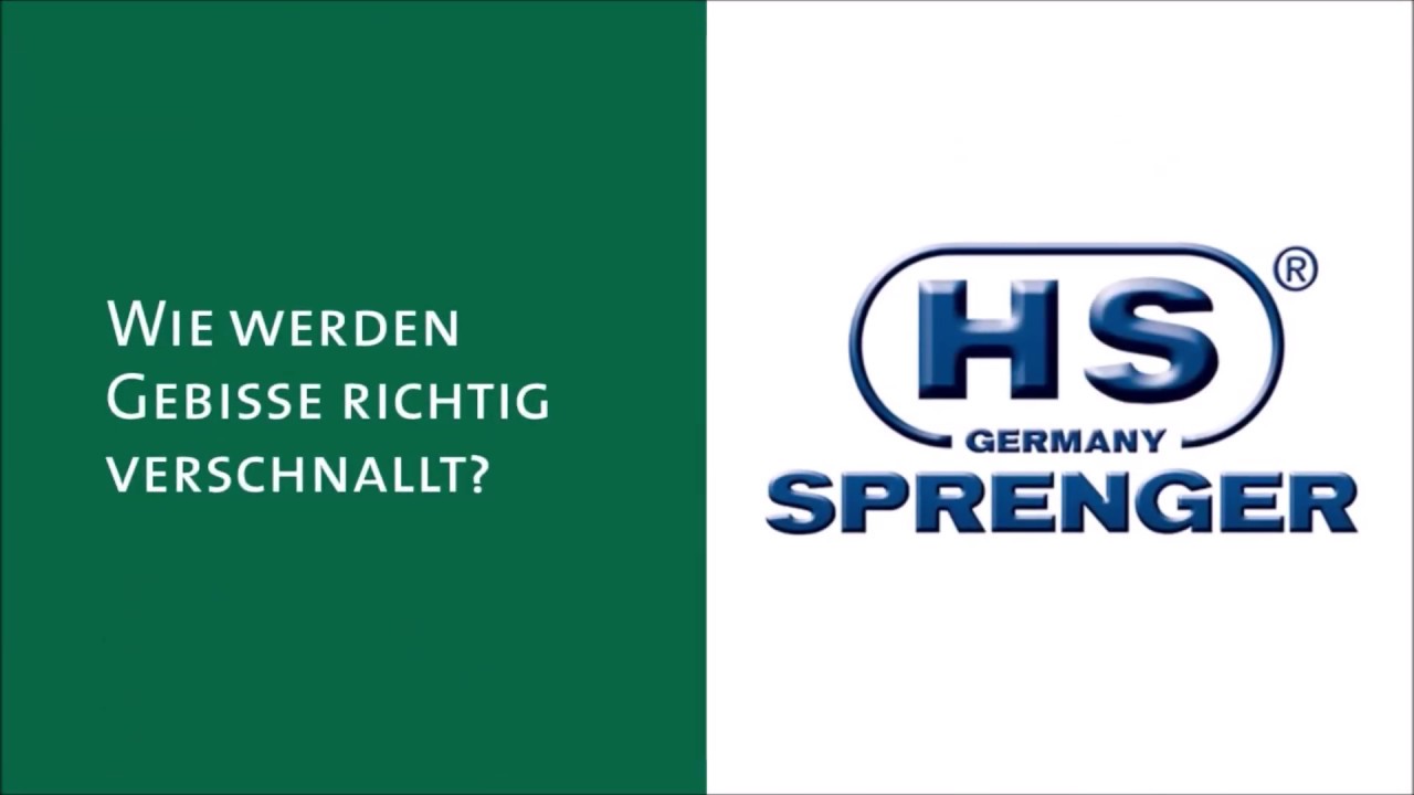 Wie wird ein Gebiss richtig verschnallt? Horse & Rider Academy