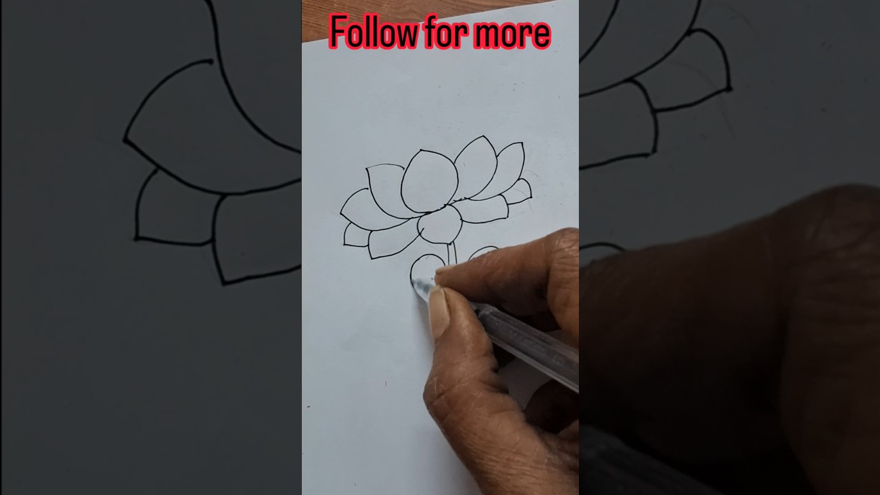 easy drawing of lotus 