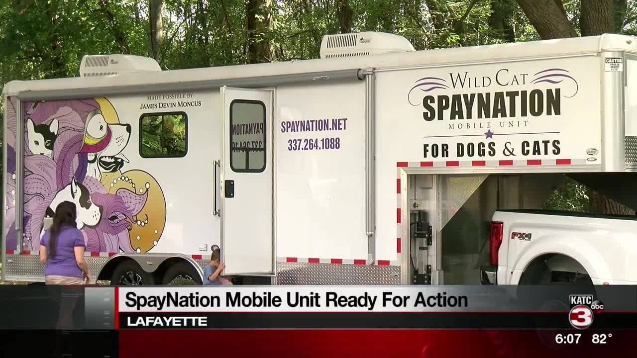Wild Cat Foundation: Mobile Neuter Unit