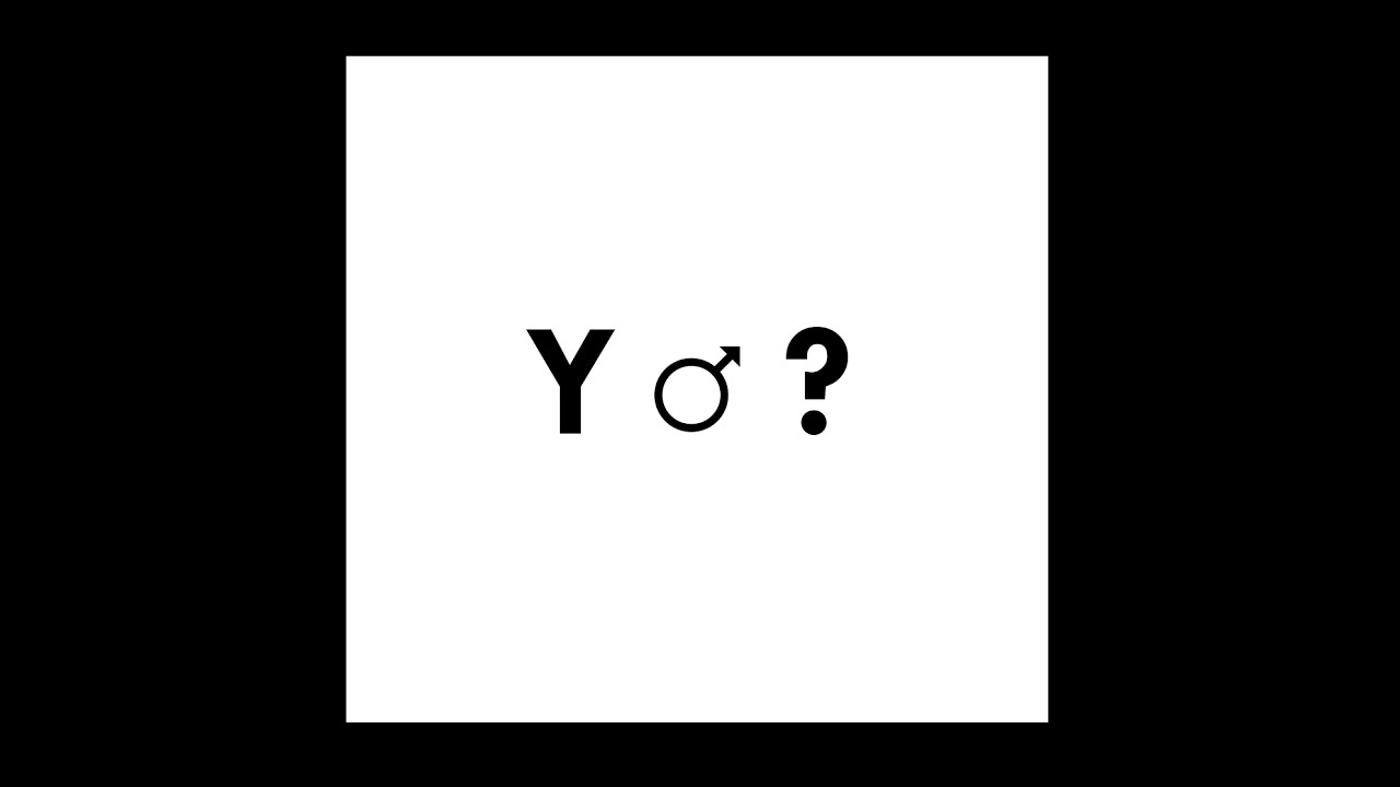 Why Does the Y Chromosome Exist?