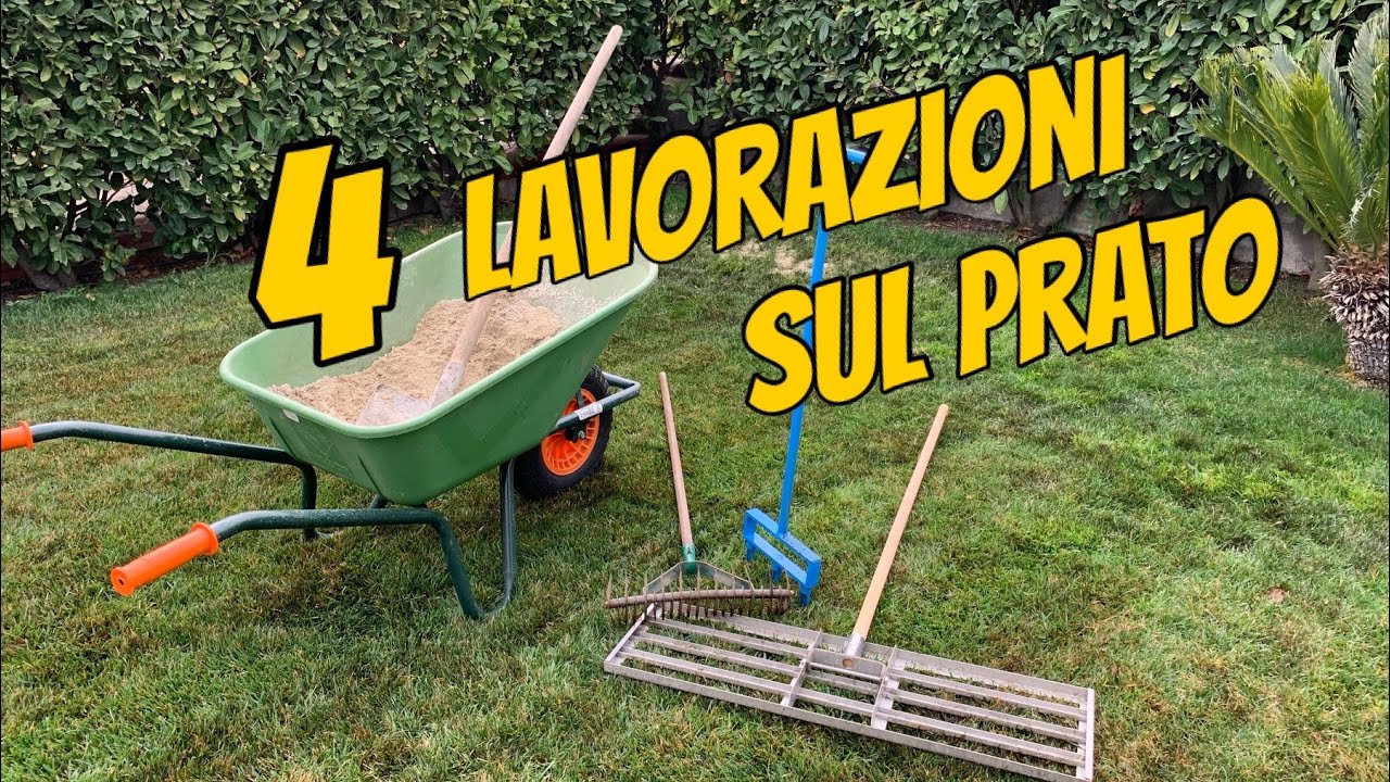 Arieggiatura + carotatura topdressing e risemina su prato danneggiato