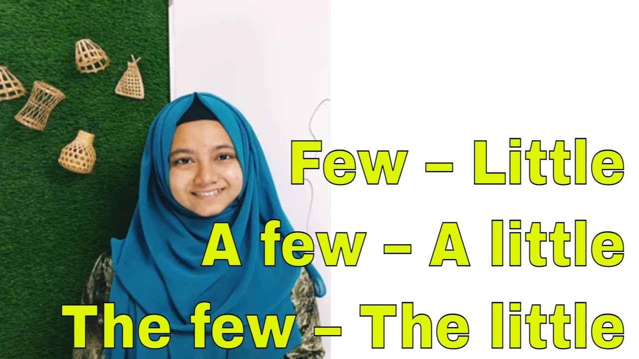Few – little, a few – a little, the few – the little |  Explanation with examples