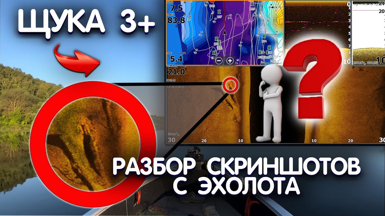 Разбор скриншотов с ЭХОЛОТА Lowrance HDS Live. Как выглядит рыба в эхолоте? Часть 2